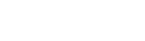Model N